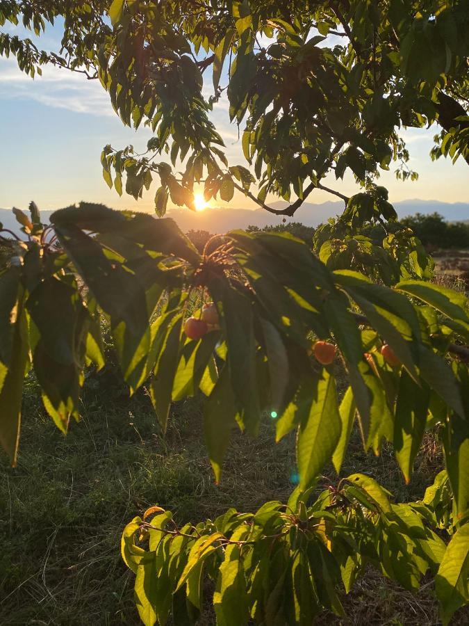 Nena Dashuri Agroturizem Peshkopi Экстерьер фото
